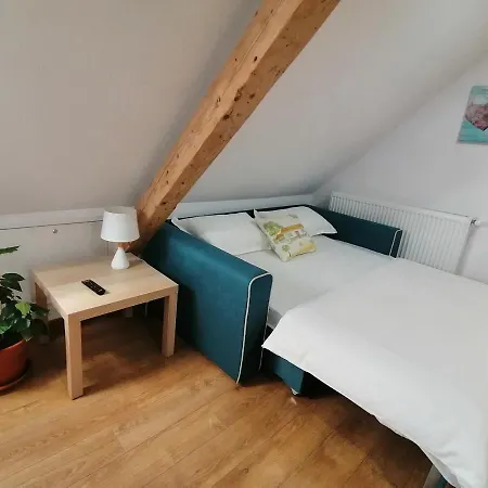 Проживание в семье Casa Bologna *