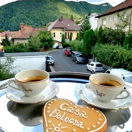 Проживание в семье Casa Bologna Брашов